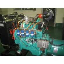 Natural Gas Generator Set (BCX30)
